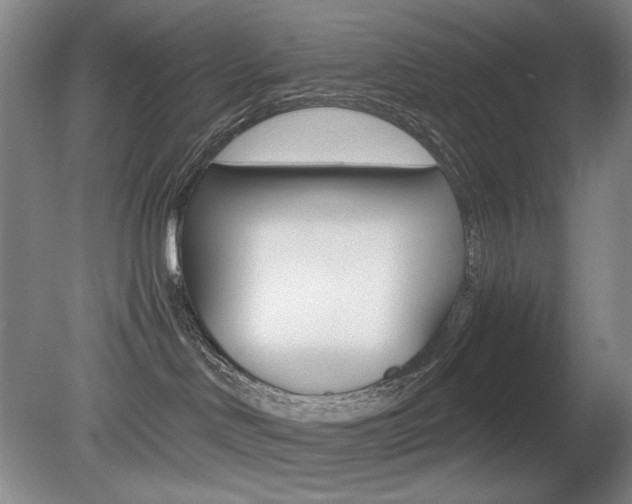 X0000080780046200612151043