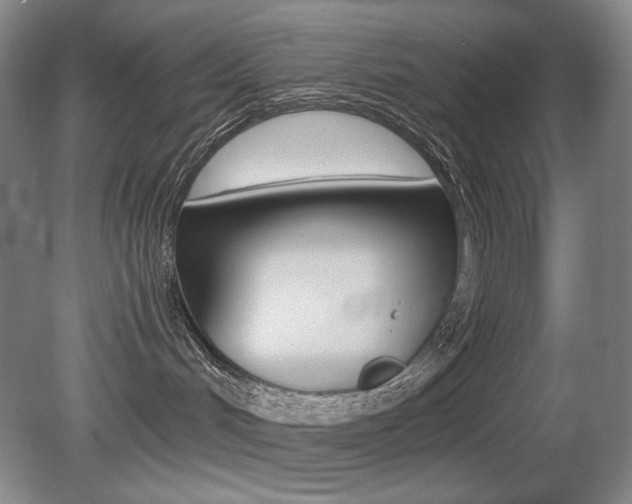 X0000080780048200612151043