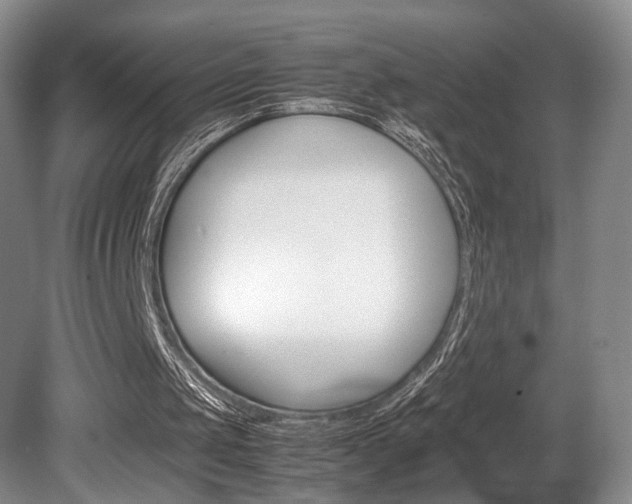 X0000080780049200612151042