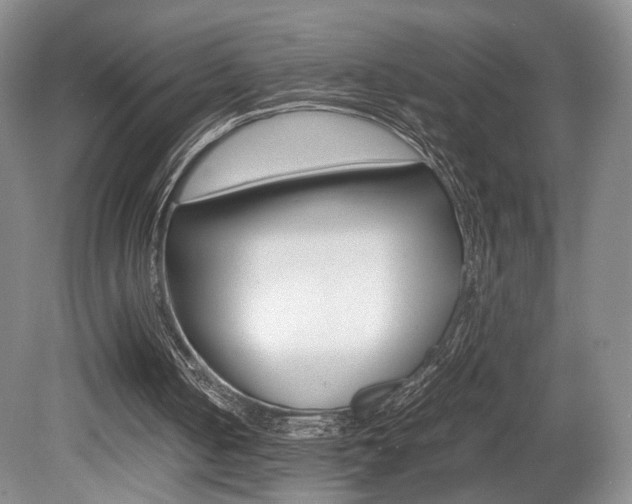 X0000080780050200612151042