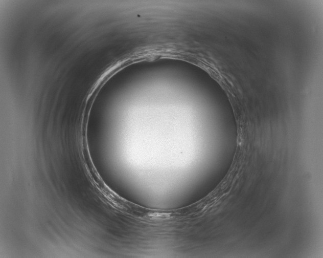 X0000080780052200612151042