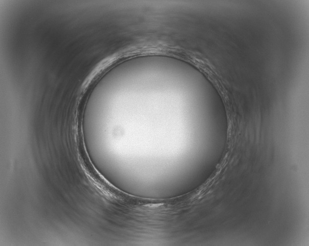 X0000080780054200612151042