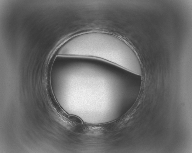 X0000080780055200612151042