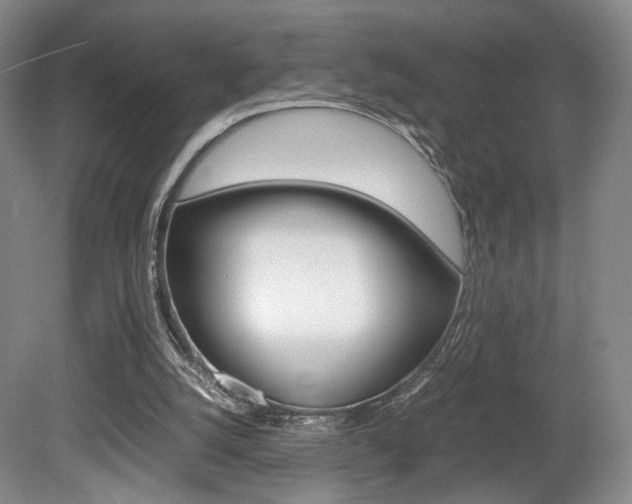 X0000080780056200612151042