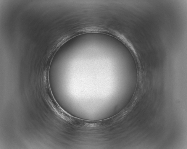 X0000080780057200612151042