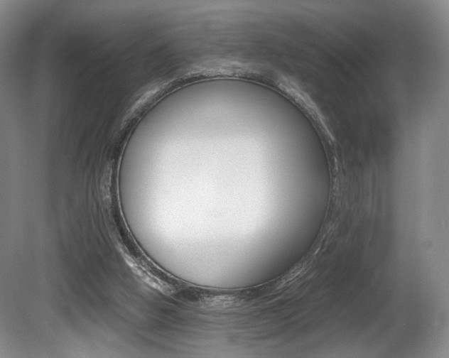X0000080780058200612151042