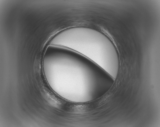 X0000080780059200612151042