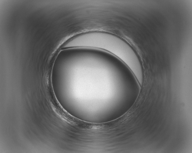 X0000080780060200612151042