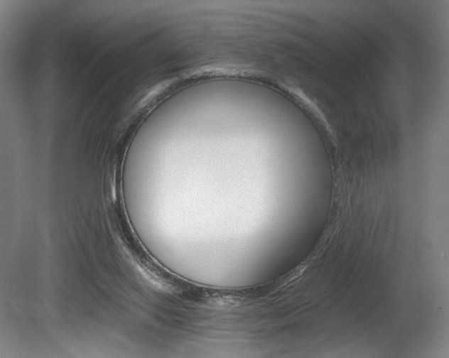 X0000080780062200612151042
