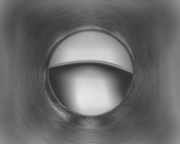 X0000080780063200612151042