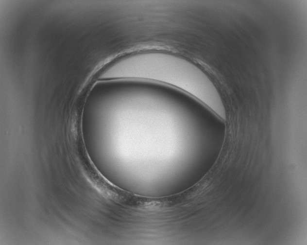 X0000080780064200612151042