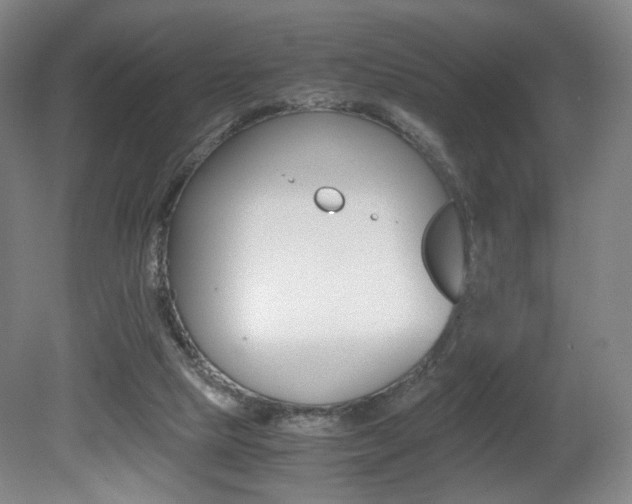 X0000080780065200612151042