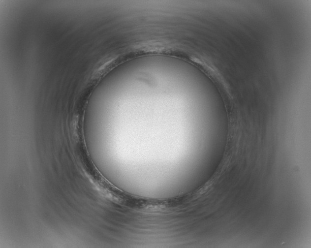 X0000080780066200612151042