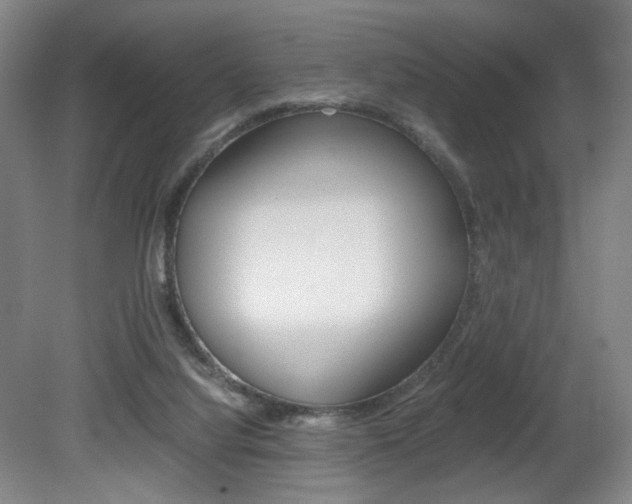 X0000080780068200612151043