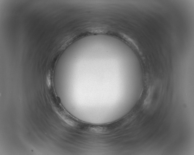 X0000080780069200612151043