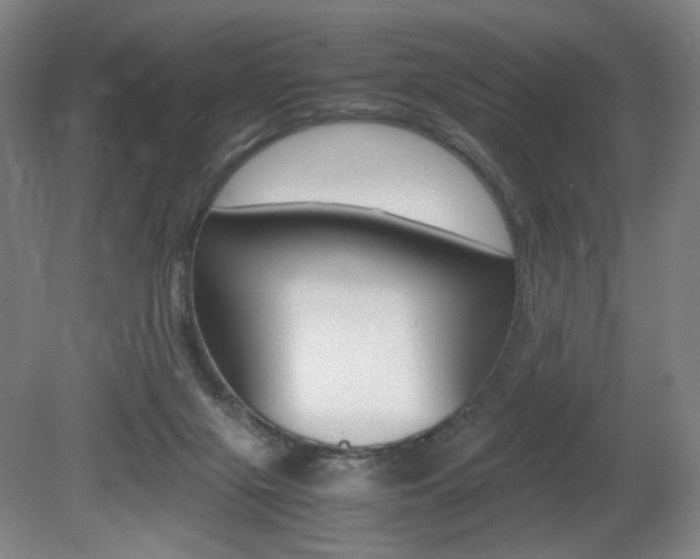 X0000080780071200612151043