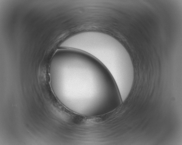 X0000080780072200612151043