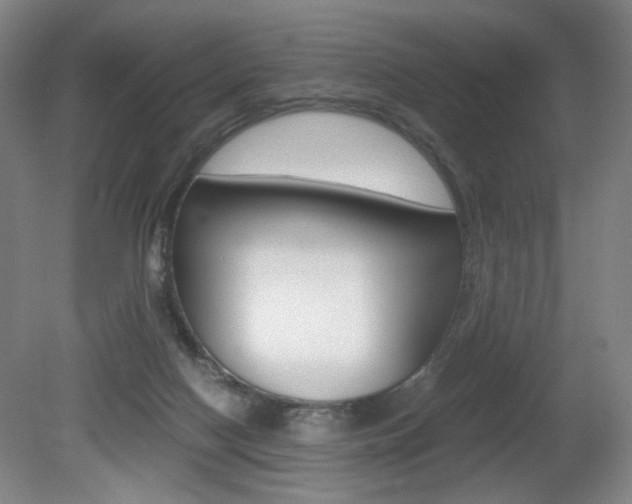 X0000080780074200612151043