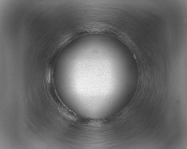 X0000080780076200612151043