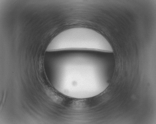 X0000080780078200612151043