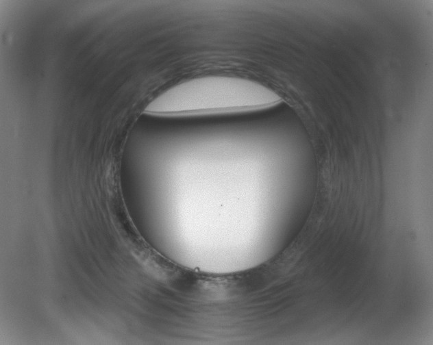 X0000080780079200612151043