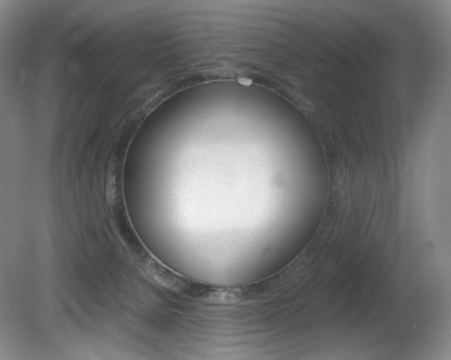X0000080780080200612151043
