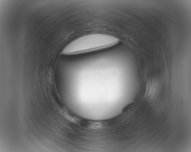 X0000080780083200612151043