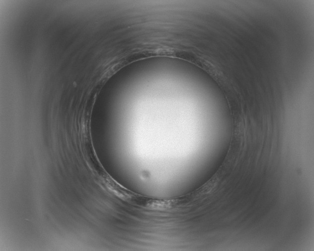 X0000080780084200612151043