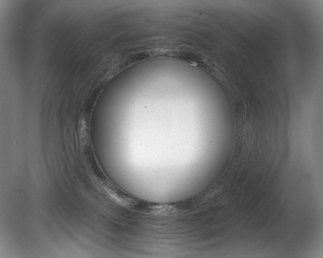 X0000080780087200612151043