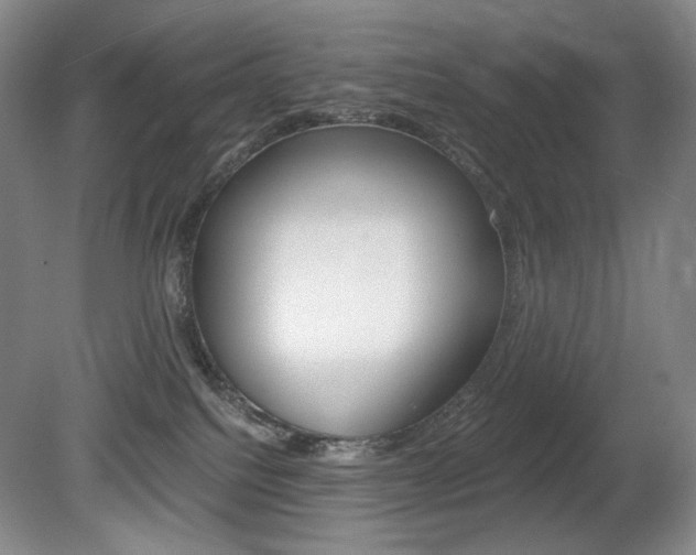 X0000080780088200612151043
