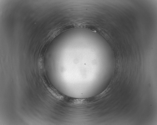 X0000080780090200612151043