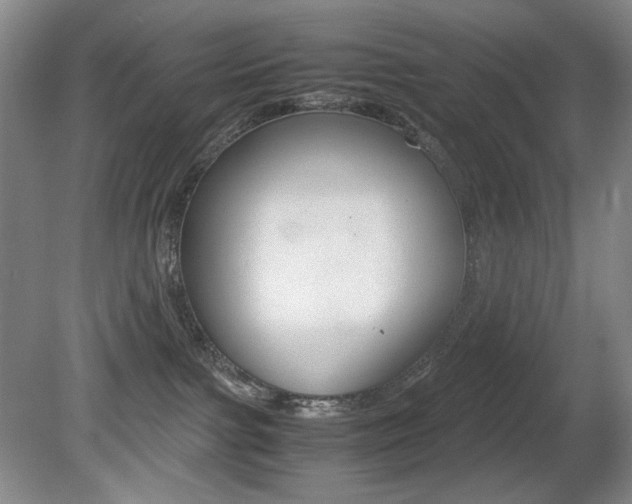 X0000080780091200612151043