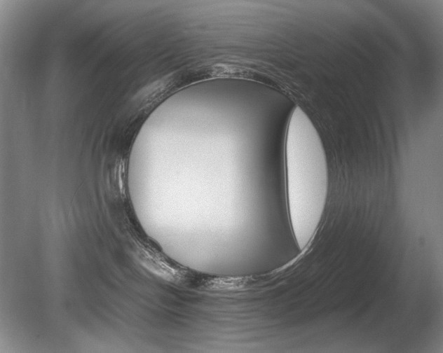 X0000080780094200612151043