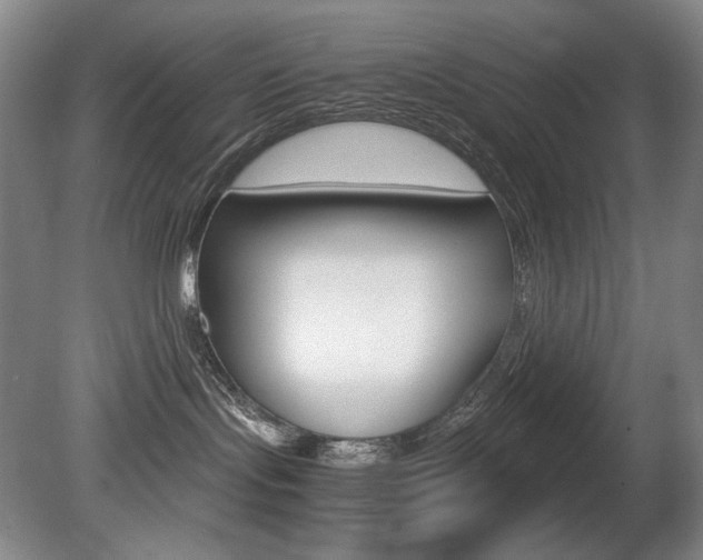 X0000080780095200612151043