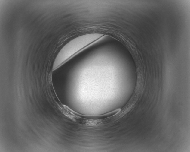 X0000080780096200612151043