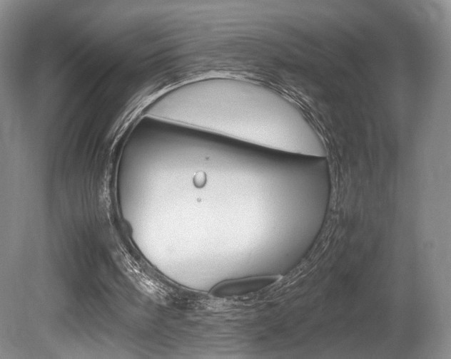 X0000080780098200612151042