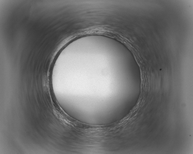 X0000080780100200612151042