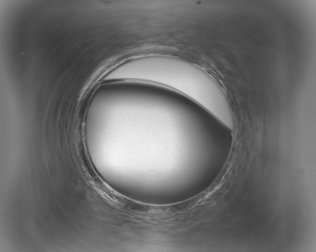 X0000080780101200612151042