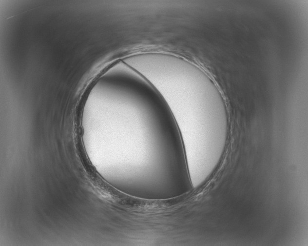 X0000080780103200612151042