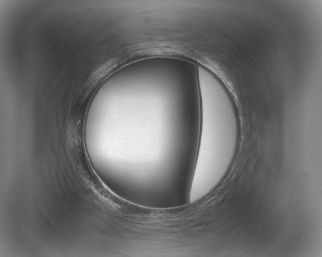 X0000080780105200612151042