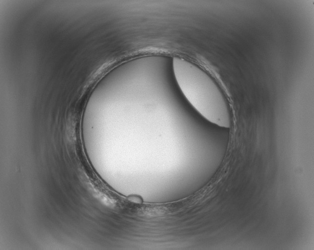 X0000080780106200612151042