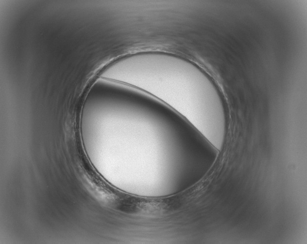 X0000080780107200612151042