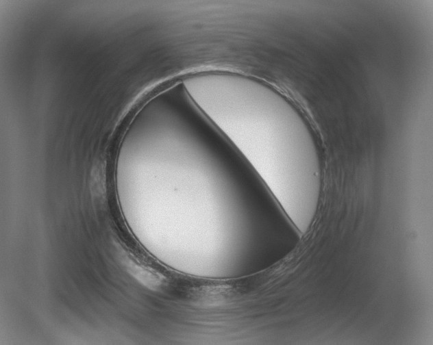 X0000080780108200612151042