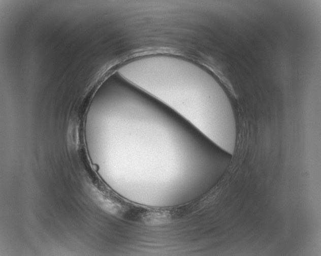 X0000080780110200612151042