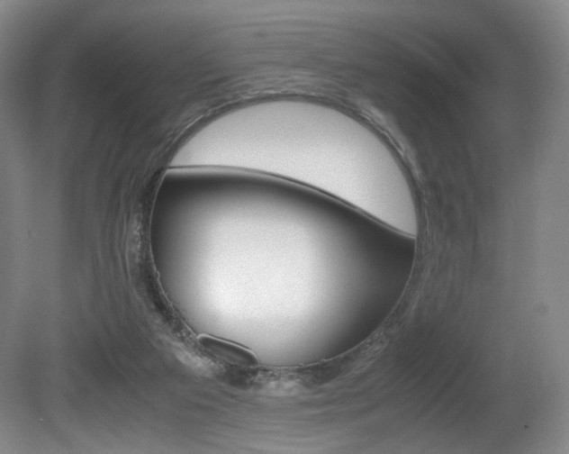 X0000080780113200612151042
