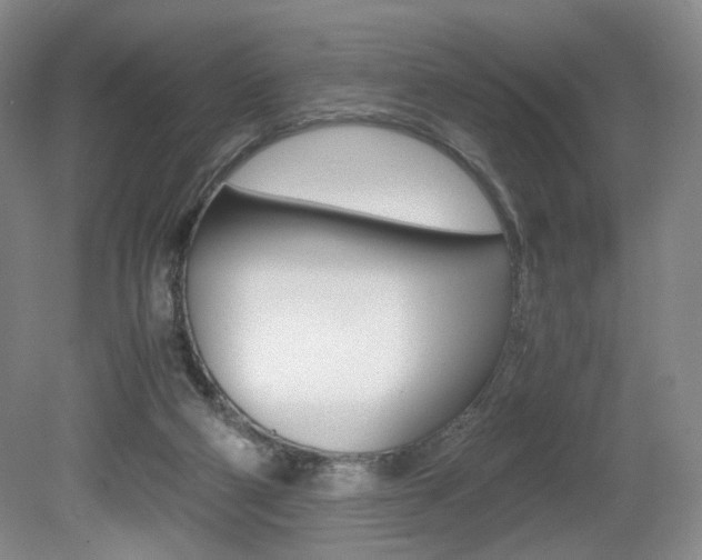 X0000080780114200612151042