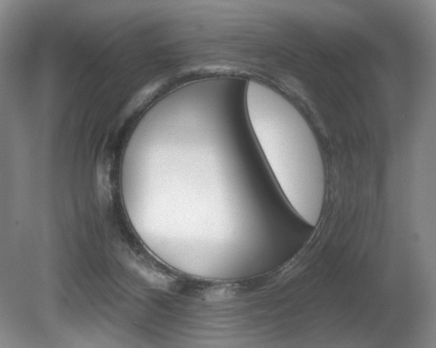 X0000080780116200612151042