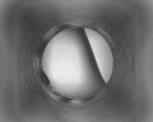 X0000080780117200612151042