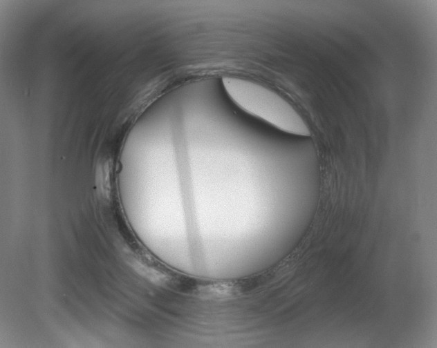 X0000080780118200612151042