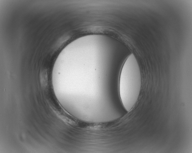 X0000080780120200612151042